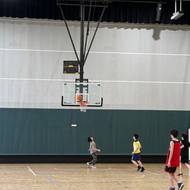 Sport and Connection: Why Team Activities Support Wellbeing