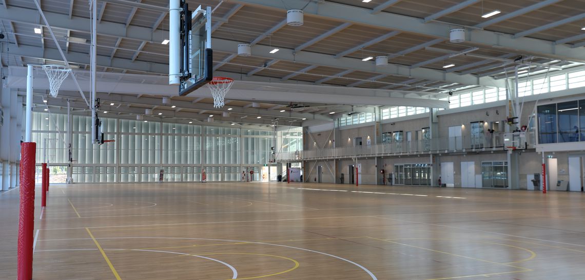 Team Building Beyond the Boardroom: Why Your Next Networking Event Should Be on the Court