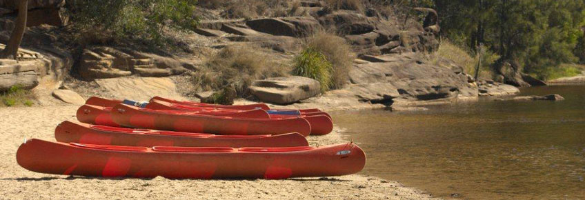kayaks