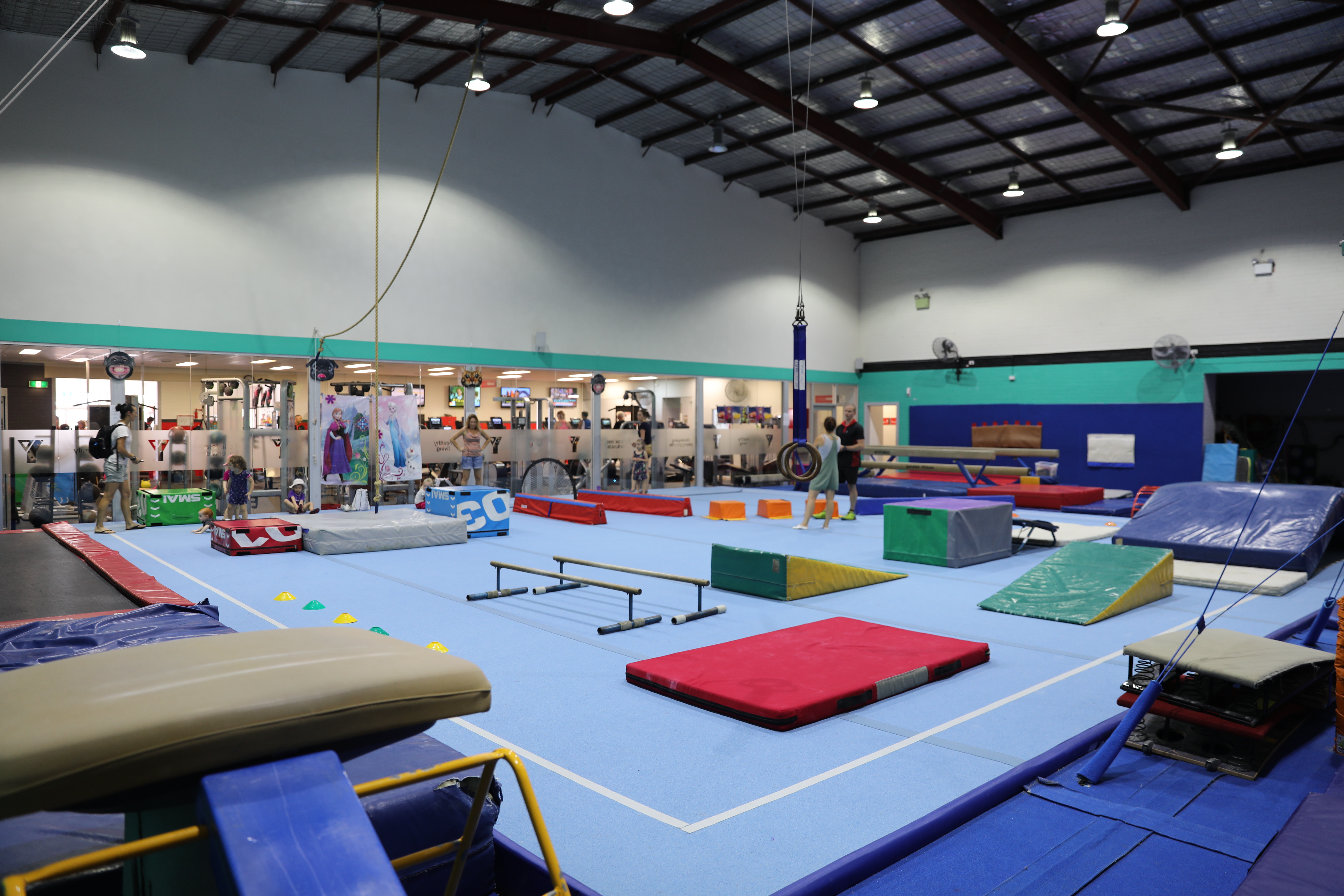 Gymnastics Free Trial